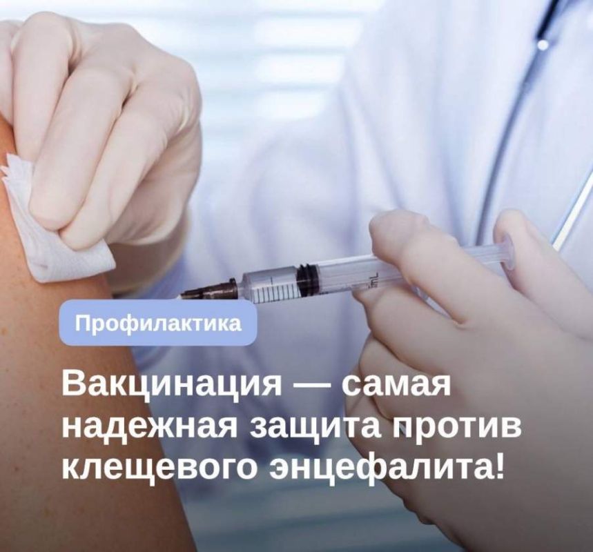 Сезонная вакцинация против клещевого энцефалита начнется в ноябре