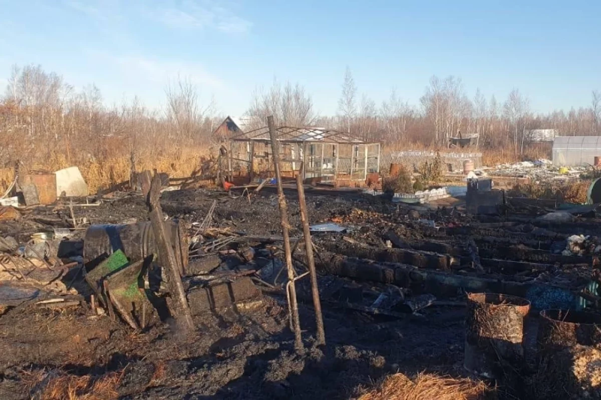 В Хабаровском крае на даче заживо сгорели мать и сын, ещё двое в больнице0