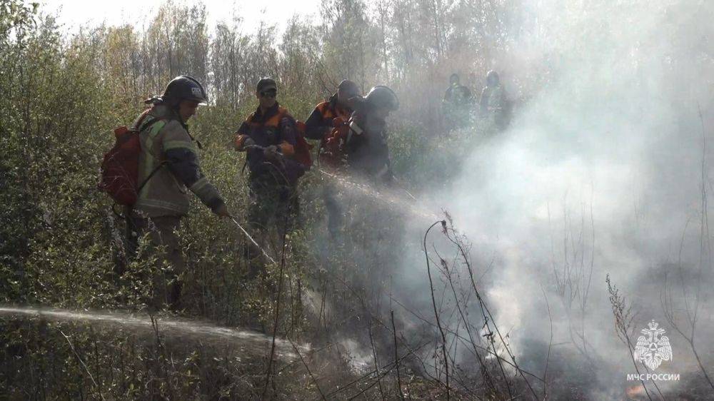 Ещё в 5 районах Хабаровского края установился 4 класс пожарной опасности в лесах