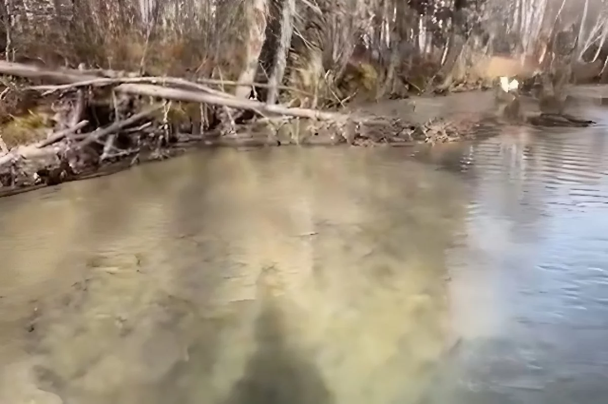 Золотодобытчики мутят воду в реке Керби в Хабаровском крае0