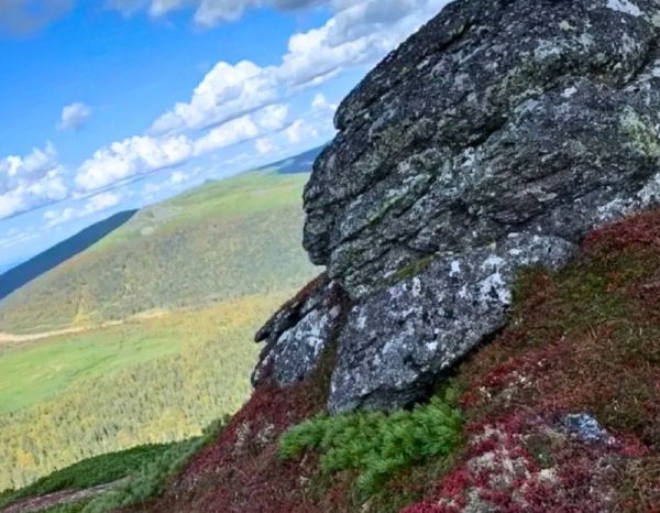 Взойти на гору Каменистую и испытать себя в качестве наездника предлагают жителям и гостям региона