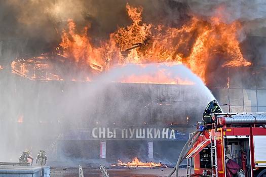 Машков и Гергиев прокомментировали пожары в театрах Хабаровска и Екатеринбурга