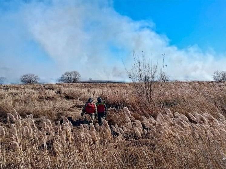 На островах у Хабаровска начались палы травы