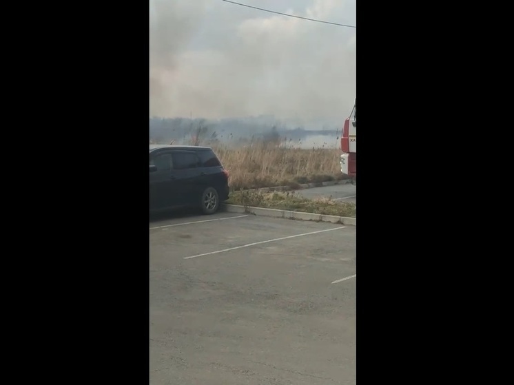 Пал сухой травы сняли на видео на Втором Хабаровске