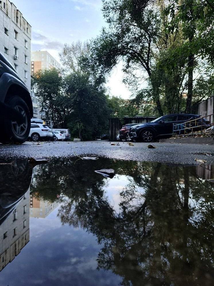 Режим повышенной готовности из-за штормового ветра введут в Приамурье