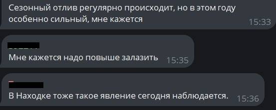 Треснул мир напополам: снос кафе на Шаморе во Владивостоке расколол общество — пруфы12