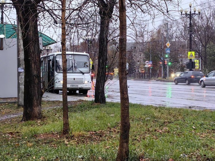 В Хабаровске 1 ноября ожидается небольшой дождь