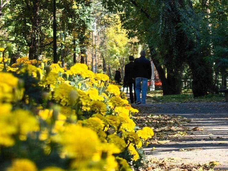 В Хабаровске 6 октября ожидается ветер и солнце