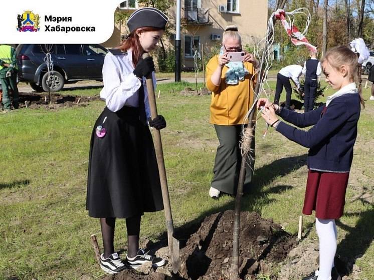 В Хабаровске появилась новая аллея в честь педагогов