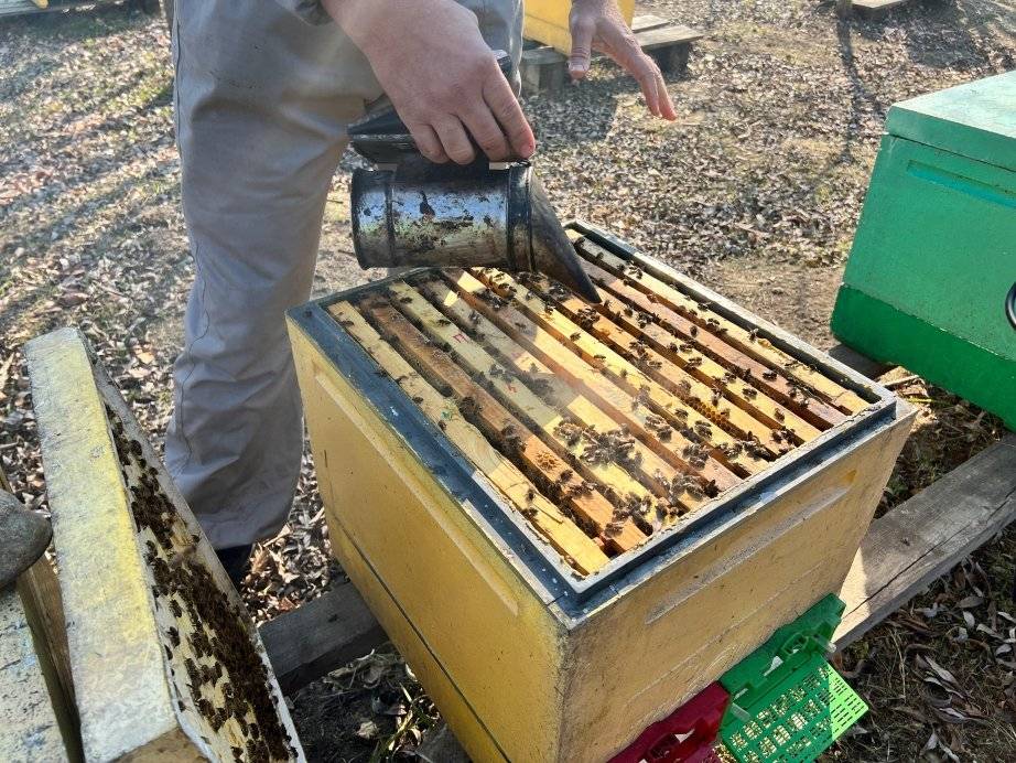 Пресс-служба министерства сельского хозяйства и продовольствия края