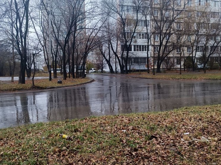 В Хабаровском крае ожидается усиление ветра