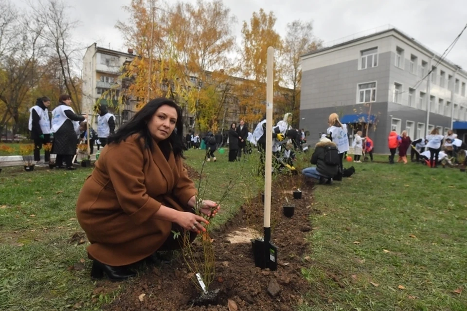 В сквере на улице Аксенова появилась педагогическая аллея0