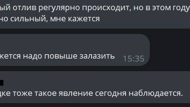 «Ждем цунами?»: явление в акватории Владивостока поразило приморцев — видео1