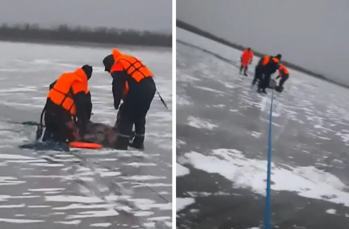 Спасатели вытащили на берег комсомольчанина, тонувшего в полынье на Амуре0