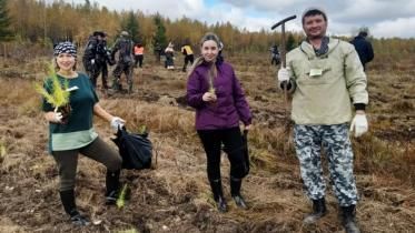 В рамках акции «Сохраним лес» в Хабаровском крае высажено 2500 саженцев