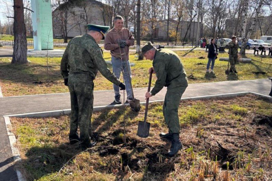 2500 молодых саженцев высадили в Хабаровском крае