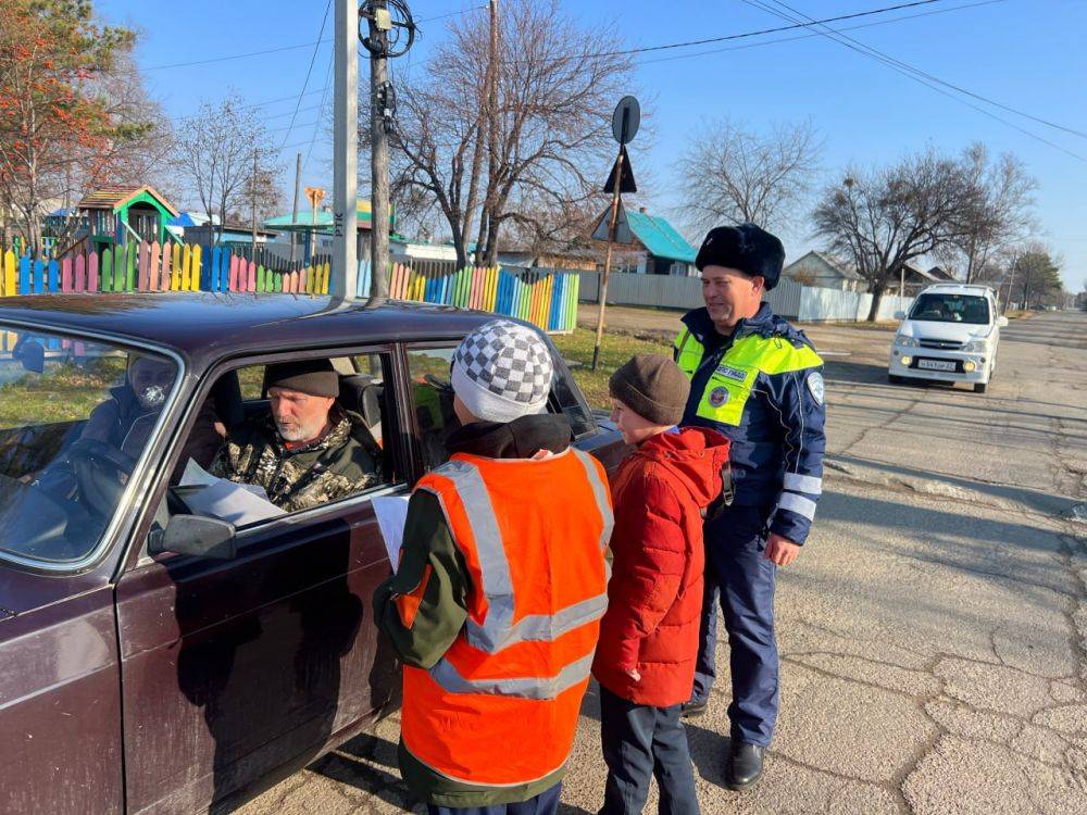 Школьники Нанайского района призвали водителей соблюдать правила дорожного движения