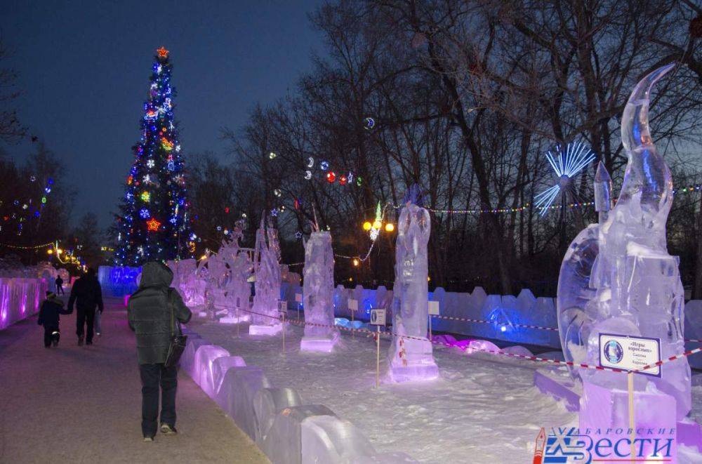 Каркас новогодней ели уже установили в хабаровском парке «Динамо»