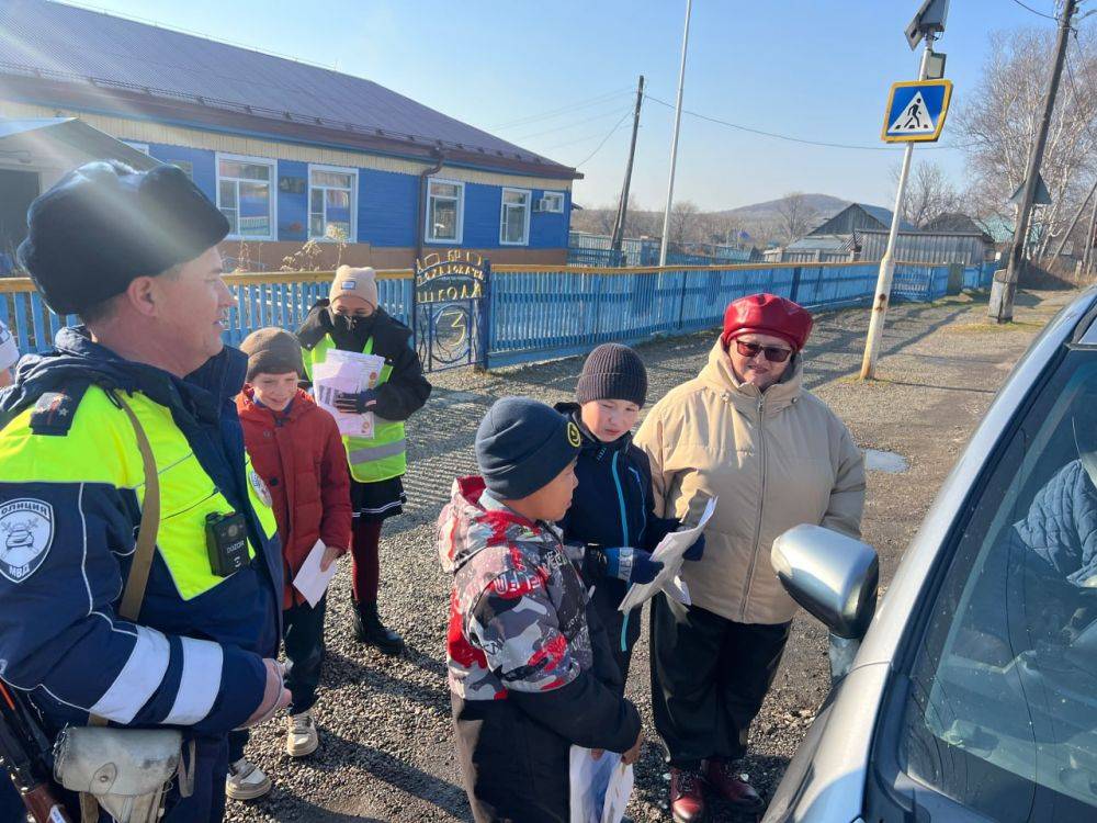 Школьники Нанайского района призвали водителей соблюдать правила дорожного движения