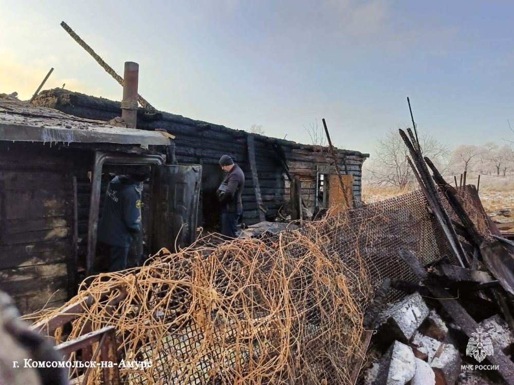 В двух пожарах в жилье за сутки пострадали люди