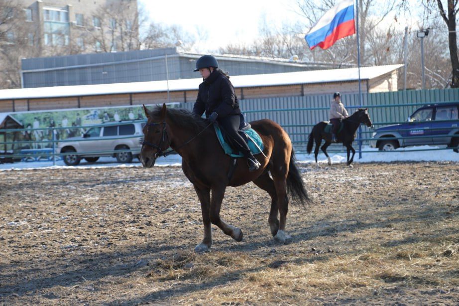 Спортивно-оздоровительный центр «Мустанг» в Хабаровске отремонтируют по поручению главы региона