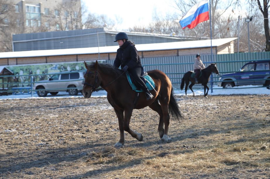 Реконструкция спортивно-оздоровительного центра «Мустанг» продолжается в Хабаровске