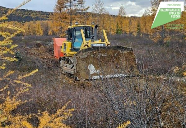 Почти тысячу гектар леса восстановили старатели в Тугуро-Чумиканском районе