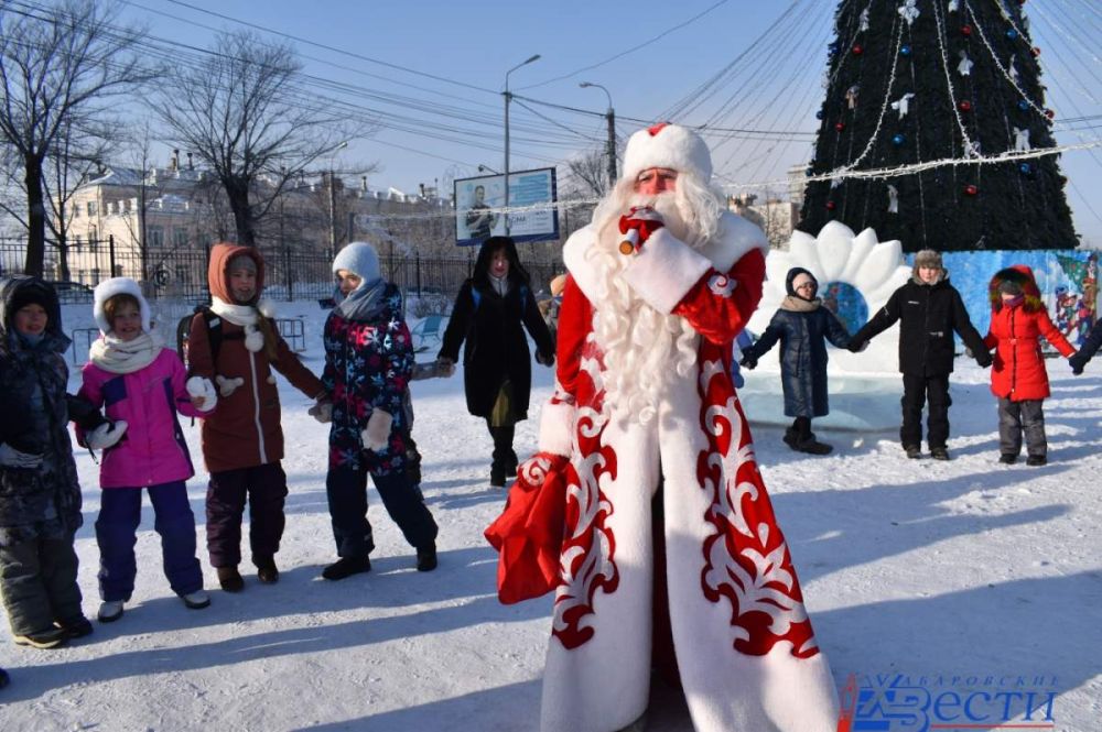 Новогодний городок впервые оборудуют на Амурском бульваре в Хабаровске