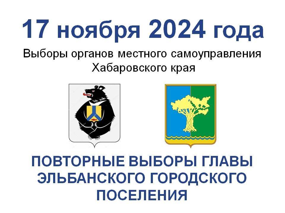 В эти выходные 16,17 ноября 2024 года в Амурском районе пройдут выборы