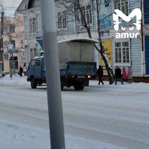 Стая бродячих собак набросилась на детей напротив администрации города в Хабаровском крае