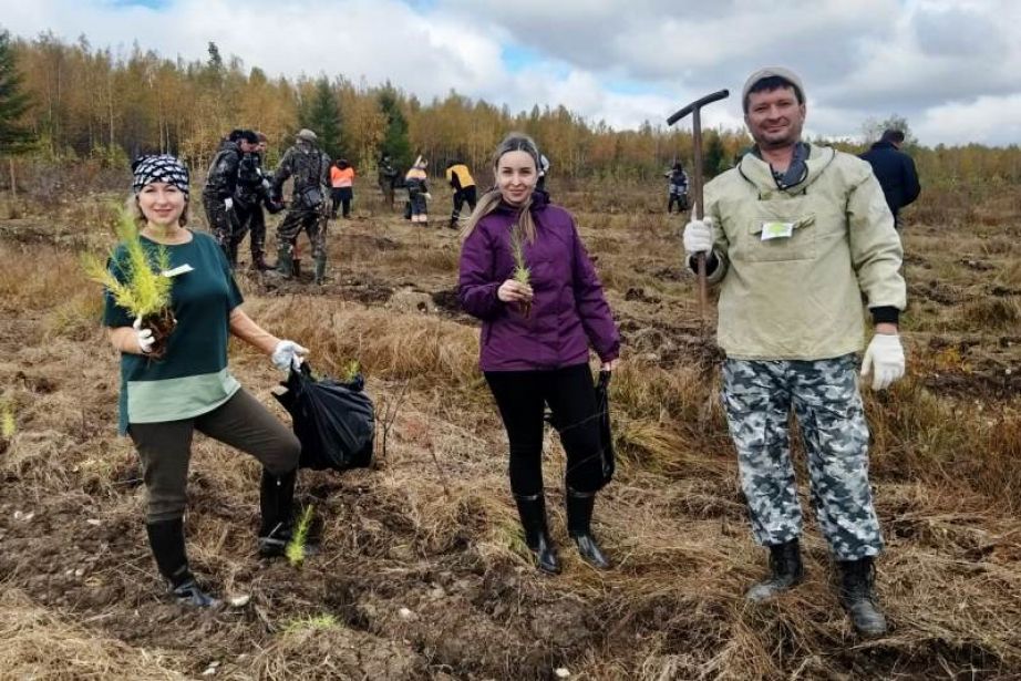 В рамках акции «Сохраним лес» в Хабаровском крае высажено 2500 саженцев