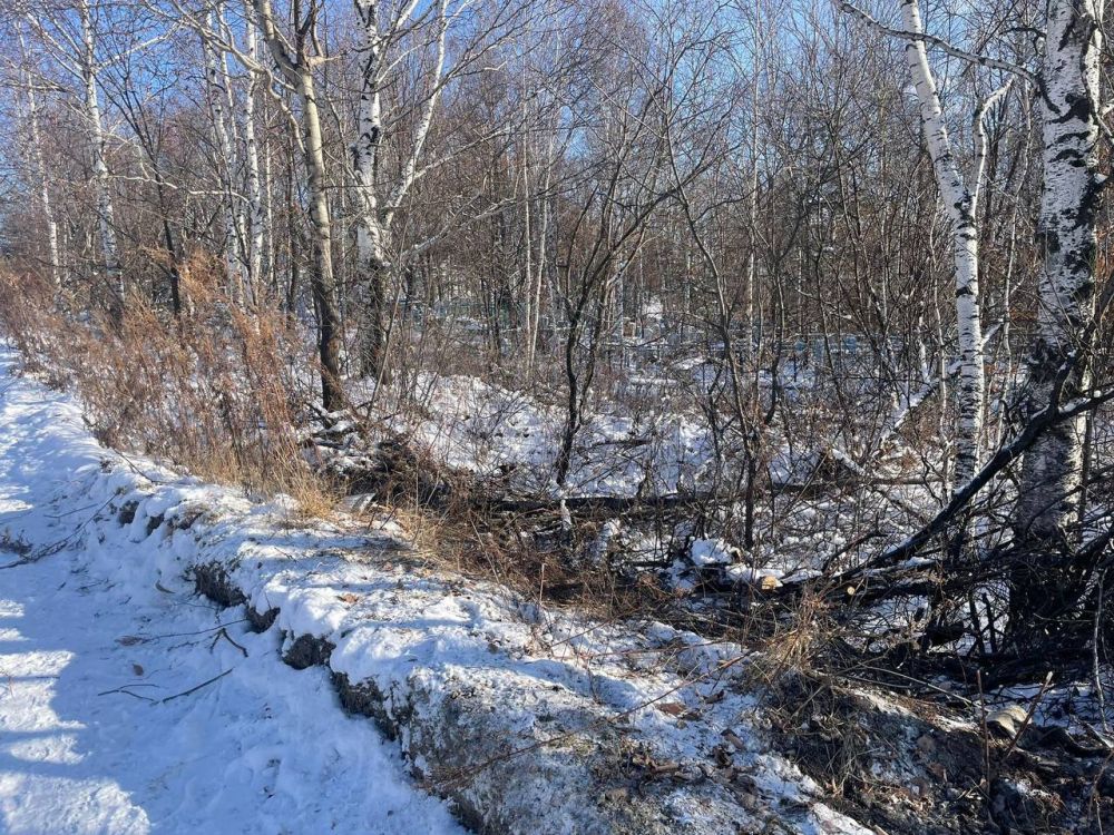 Нетрезвый водитель без права управления госпитализирована с травмами в Амурском районе