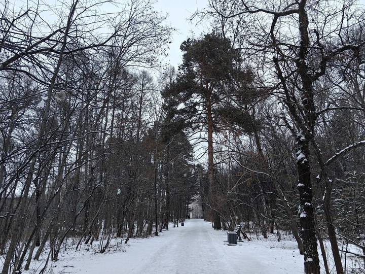 Хабаровский гороскоп на неделю с 25 ноября по 1 декабря2