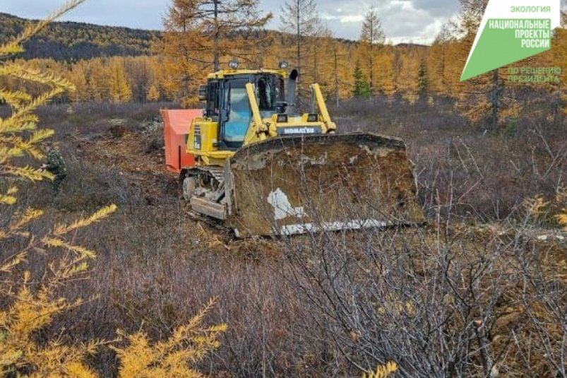 Хабаровский край лидирует в ДФО по восстановлению лесных насаждений Пресс-служба губернатора и правительства Хабаровского края