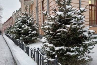 Итоги дня: опять циклон, спасение сфинкса, встреча в Петрыненском центре, дофинансирование9