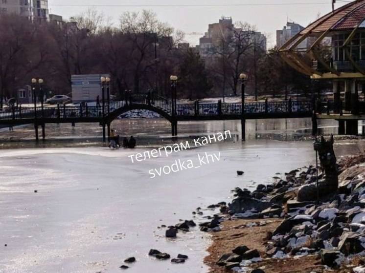 На прудах в Хабаровске заметили гуляющих по льду детей