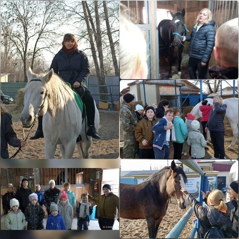 ТГ администраций муниципальных районов