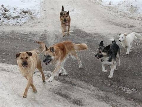 ТГ администраций муниципальных районов