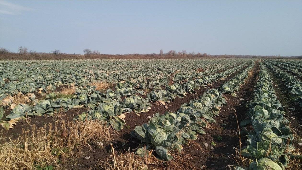 ТГ администраций муниципальных районов