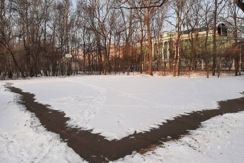 Уже в следующем году комсомольчане смогут оценить новые спортплощадки в парке &quotСтроитель&quot Пресс-служба администрации Комсомольска-на-Амуре