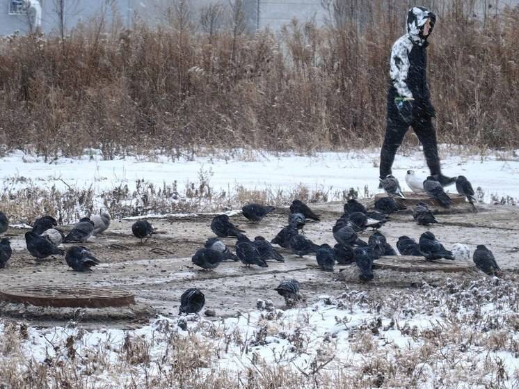 В Хабаровске 23 ноября не ожидается осадков и сильного ветра