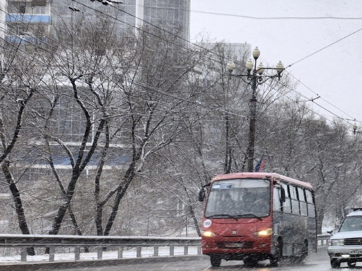 В Хабаровске конфликт в автобусе стал предметом проверки в регионального СУ СК России