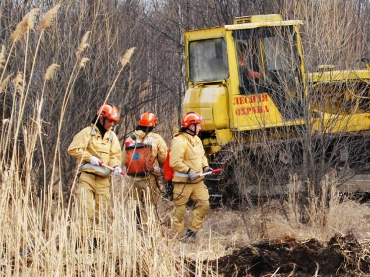 В Хабаровском крае стабилизировали пожароопасную обстановку