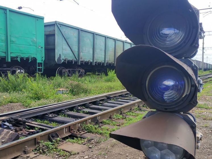 В Приамурье поезда чаще всего экстренно тормозили