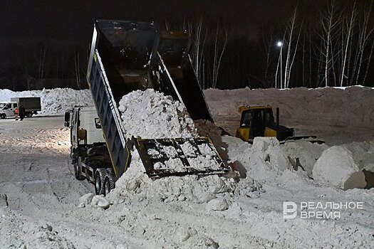 В Благовещенске вводят режим ЧС из-за "бури столетия"