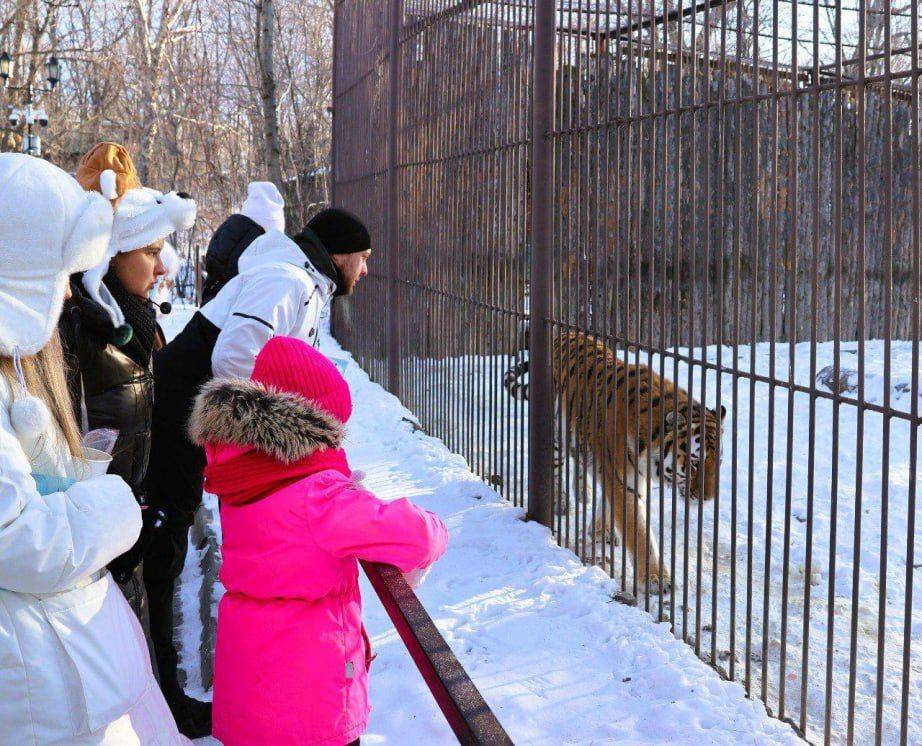 #ПозывнойКультура: В зоосаде «Приамурский» провели новогодние мероприятия для детей участников СВО