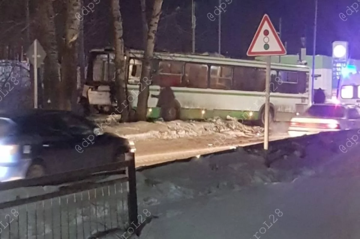 Автобус, врезавшийся в дерево в Приамурье, нельзя было эксплуатировать0