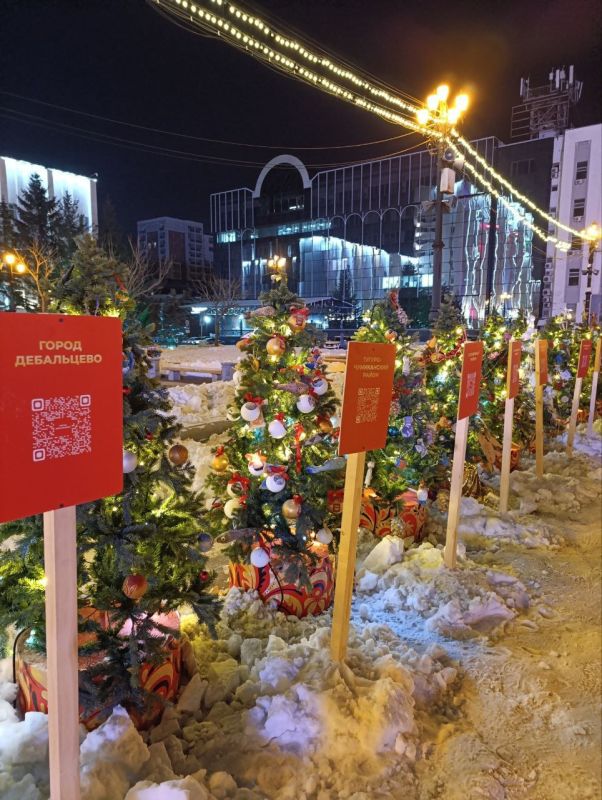 Ёлочка подшефного Дебальцево украсила новогодний городок на площади Ленина в Хабаровске