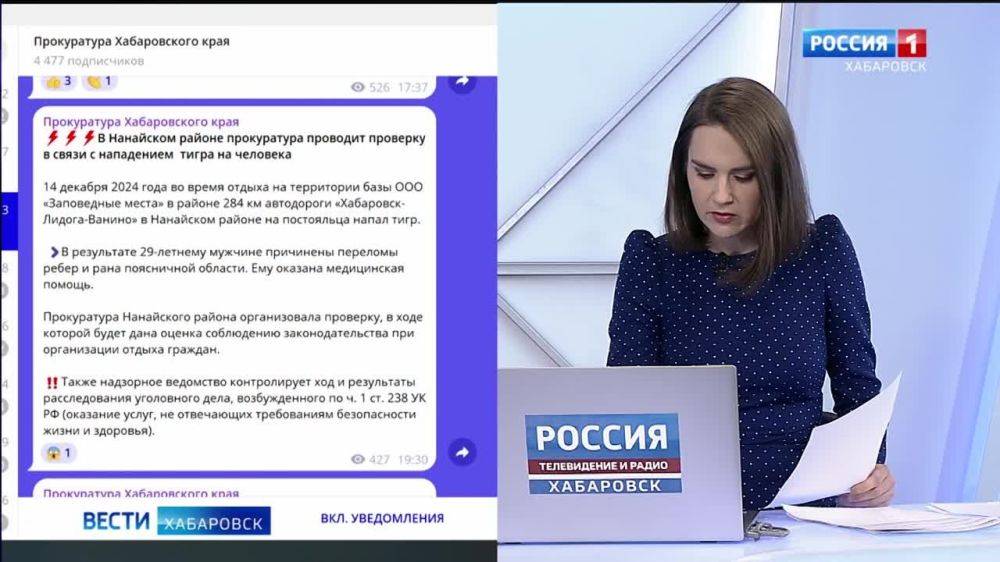 Тигр напал на человека на базе отдыха в Нанайском районе, прокуратура проводит проверку