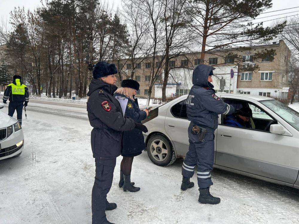 С 1 по 5 декабря 2024 года сотрудники Госавтоинспекции совместно с представителями Федеральной службы судебных приставов проводят профилактическое мероприятия &quot;Должник&quot;